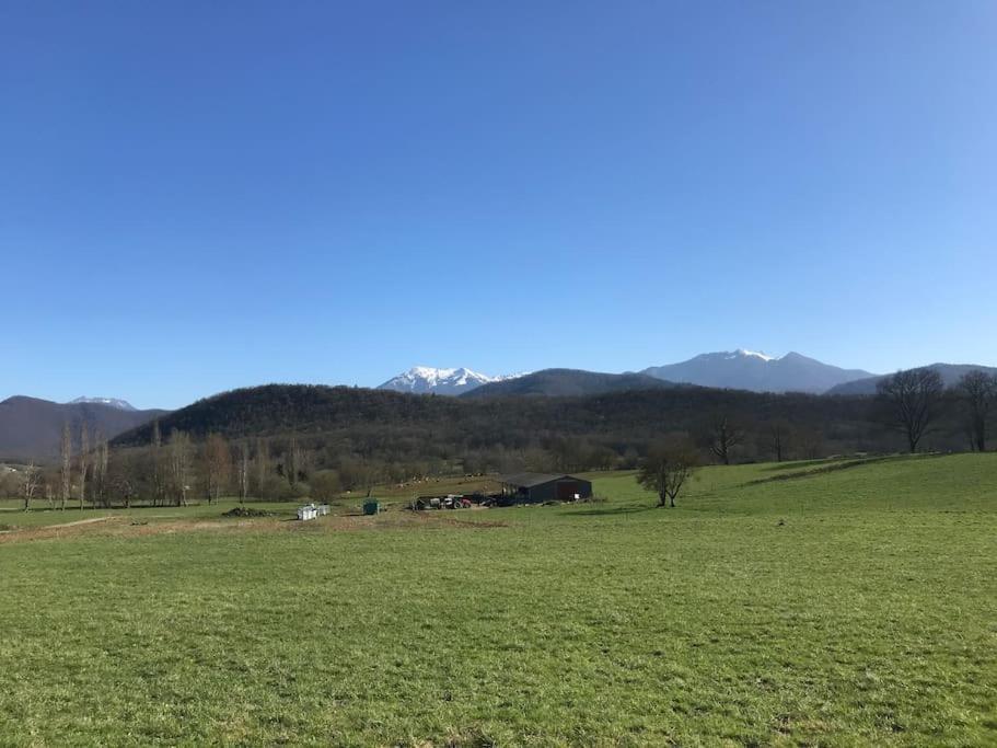 Au Coeur De Loo Villa Sauveterre-de-Comminges Eksteriør bilde